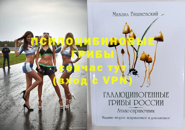 мдпв Балахна