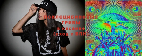 мдпв Балахна