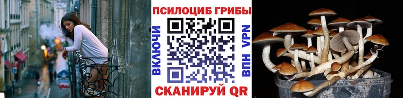 наркота  МЕГА как зайти  Псилоцибиновые грибы ЛСД  Луховицы 